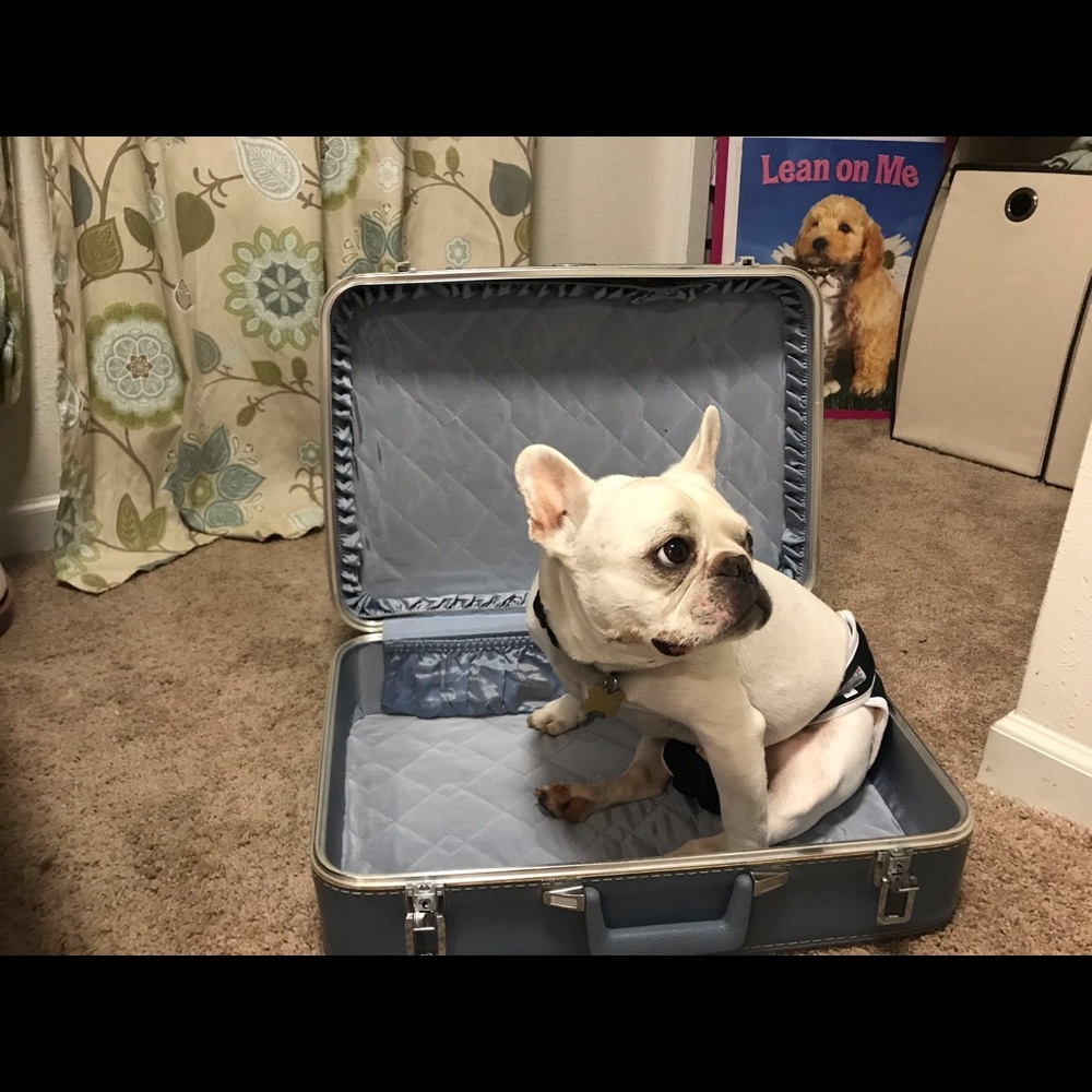 Vintage Feather Lite Suitcase